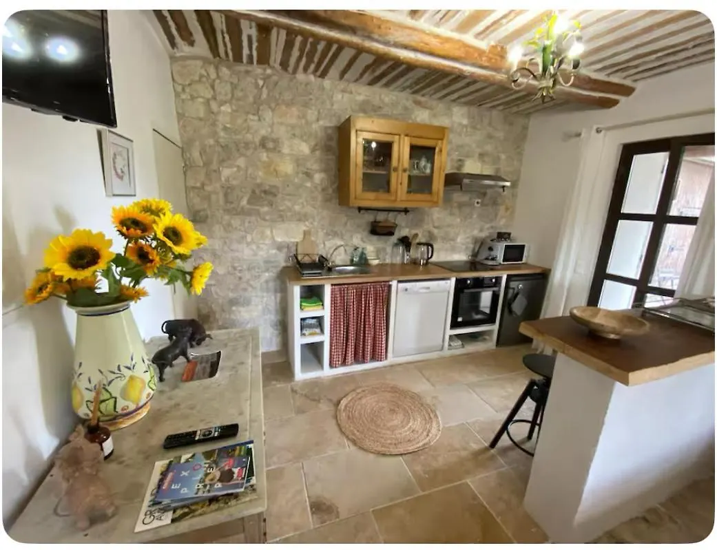 Apartment Studio Mas De Pape Verquieres Saint Remy De Provence